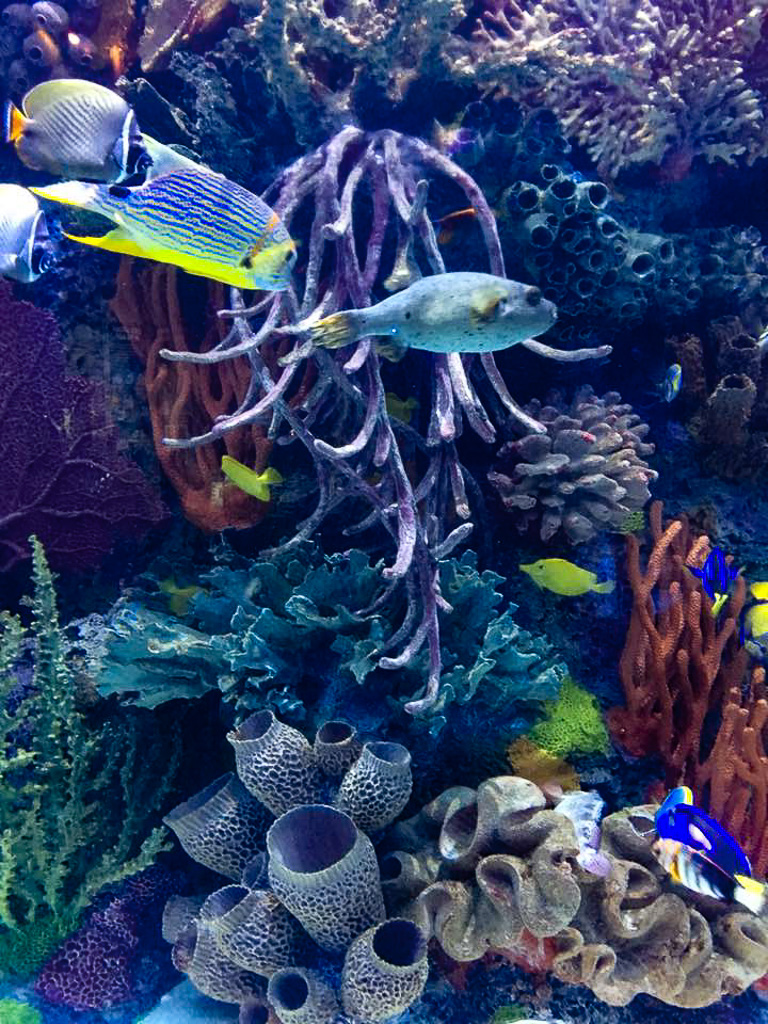 18341923_10100646170556332_792909975123856922_n