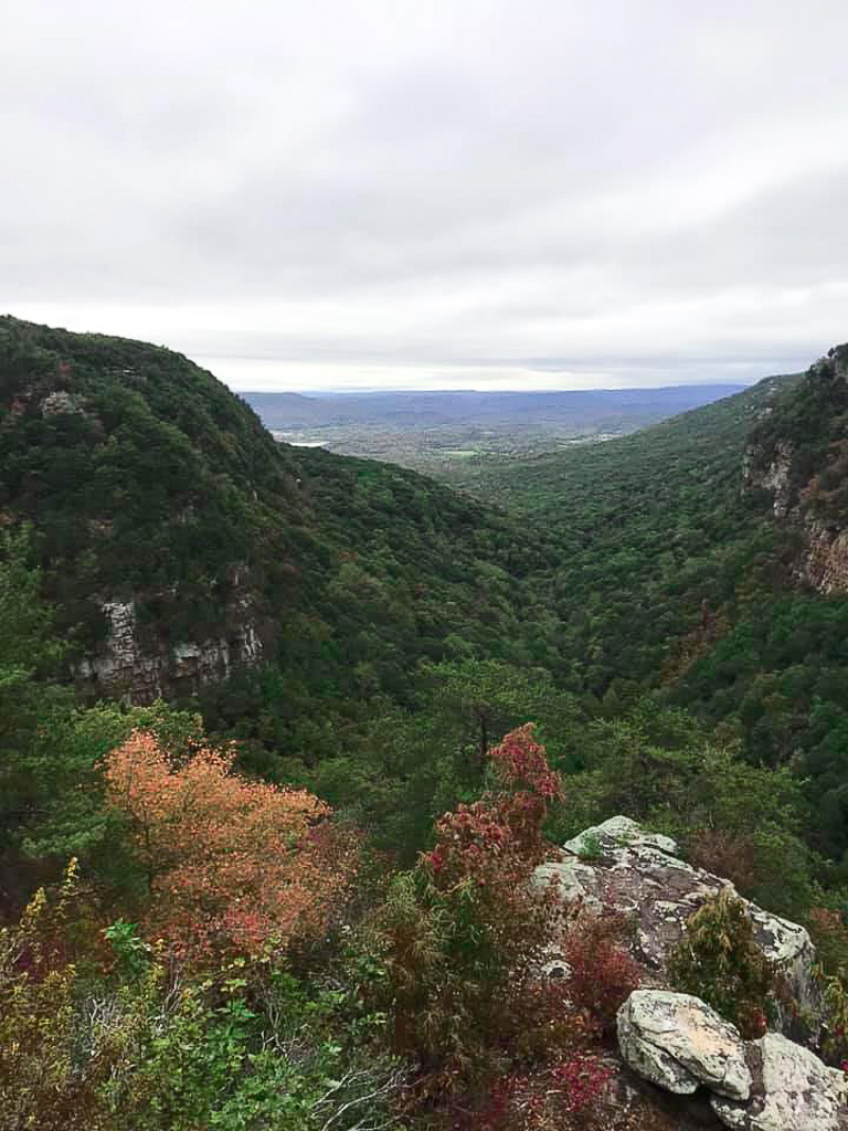 72177677_10101205863023142_7899373807230517248_n-2