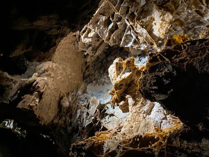 Wind Cave National&nbsp;Park