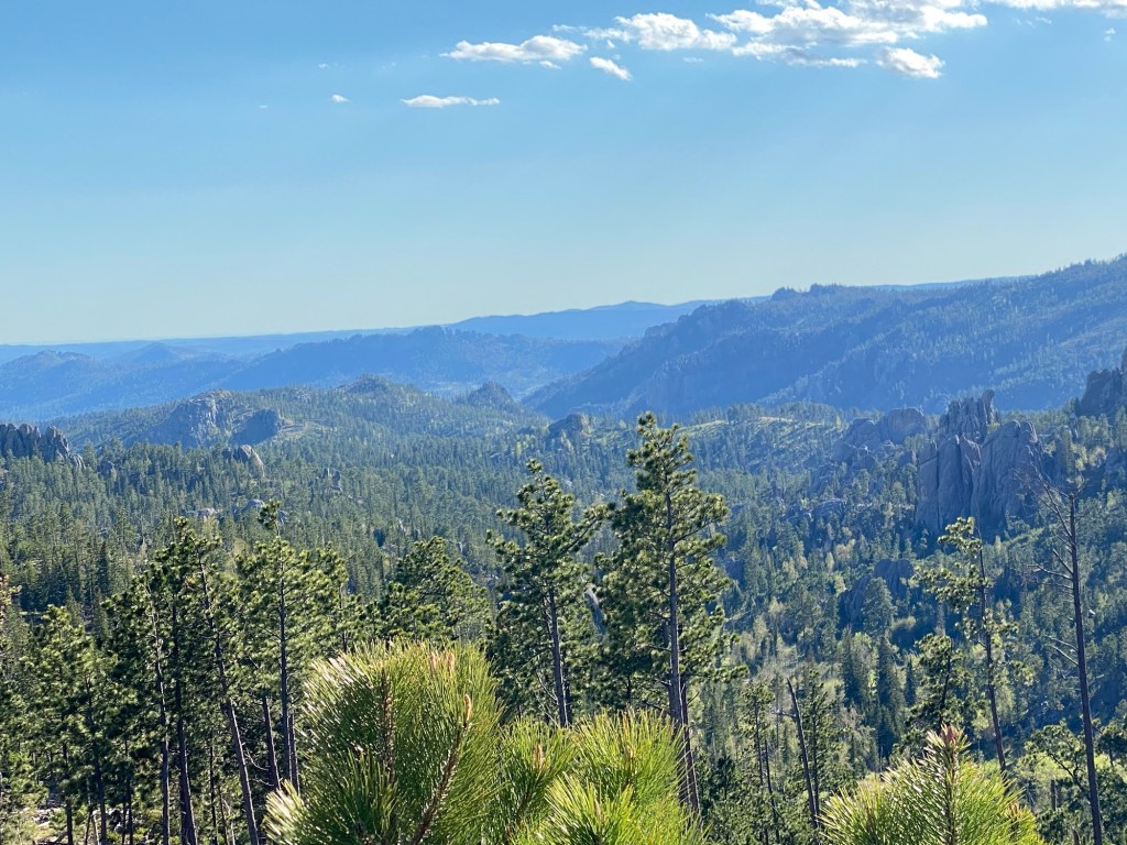 There are great views to be had all along the hike.